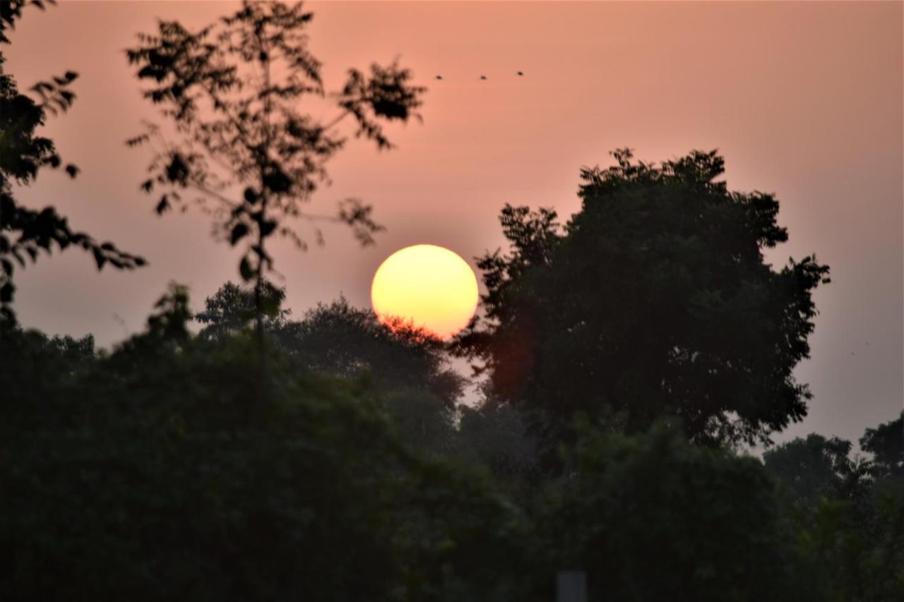 Ranthambhore Bagh Dwar Camp Khilchīpur Εξωτερικό φωτογραφία